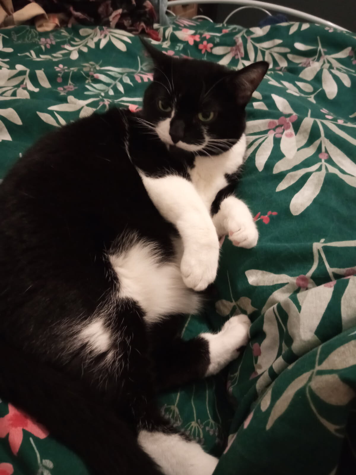 Winnie