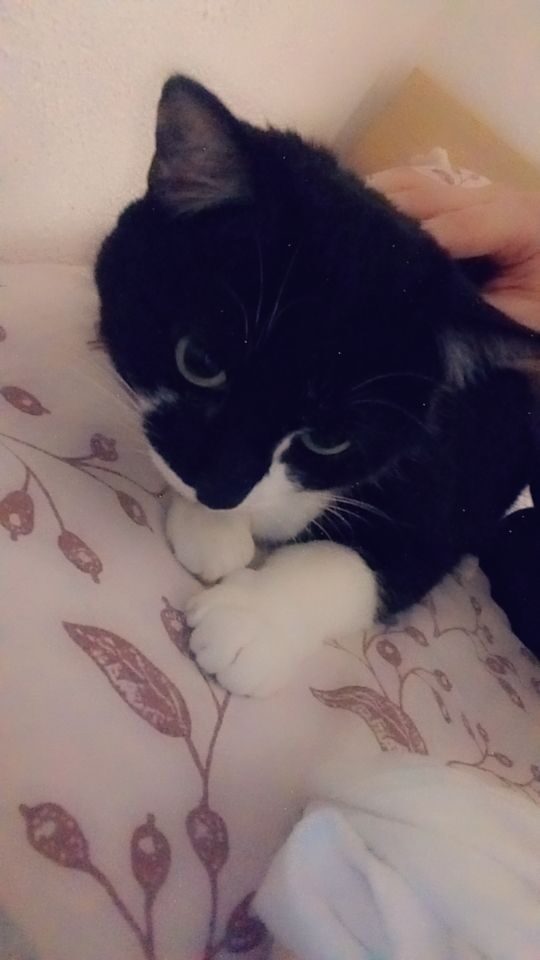 Winnie