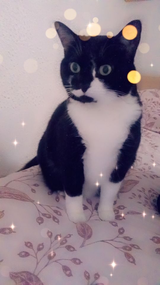 Winnie