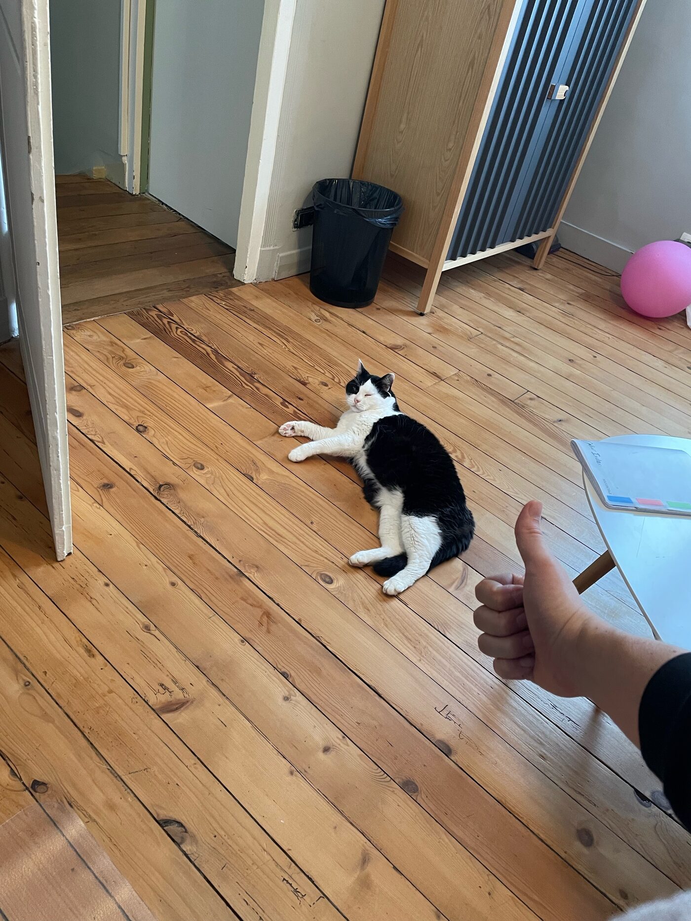 Bouboule