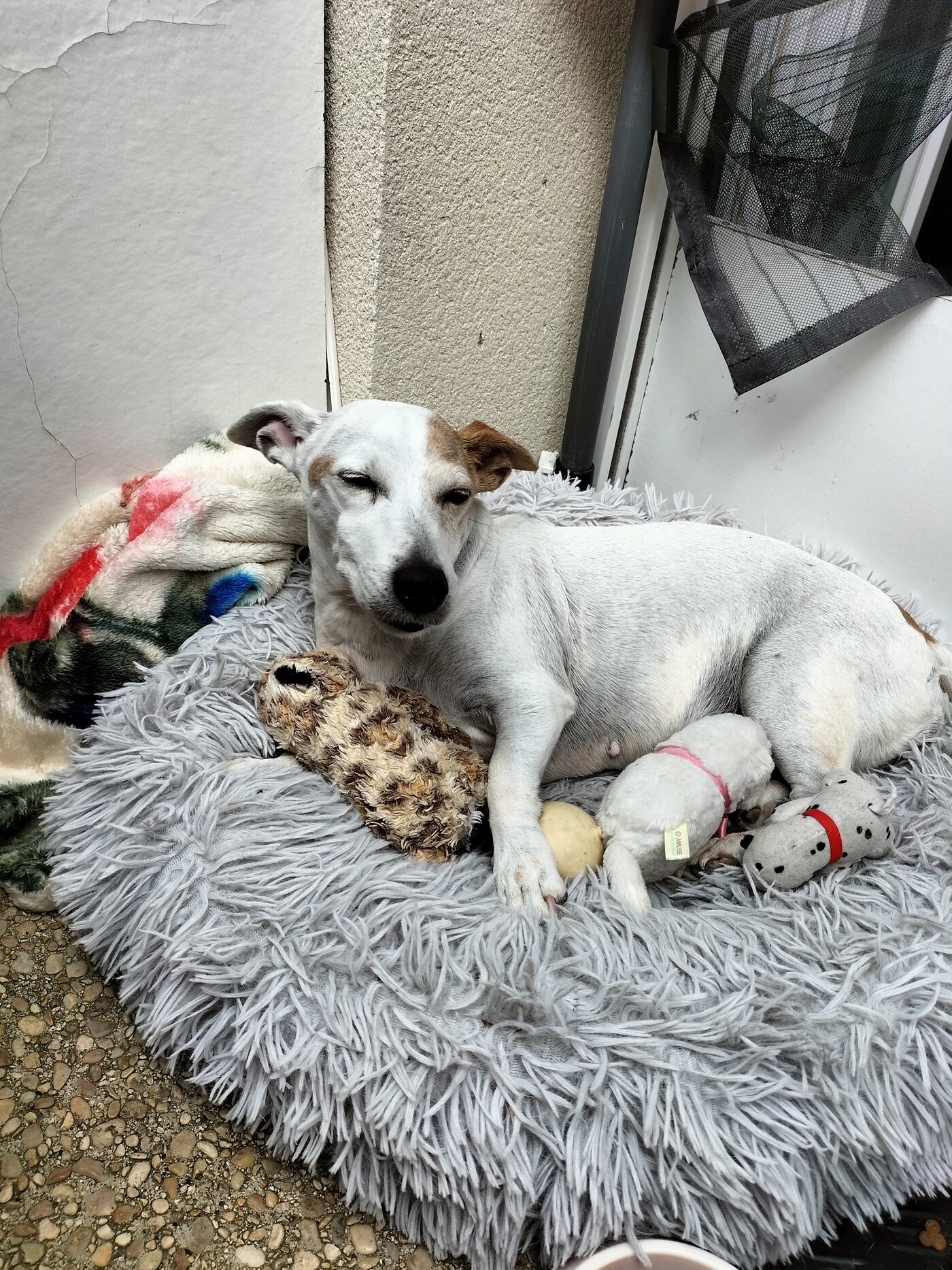 Berry
