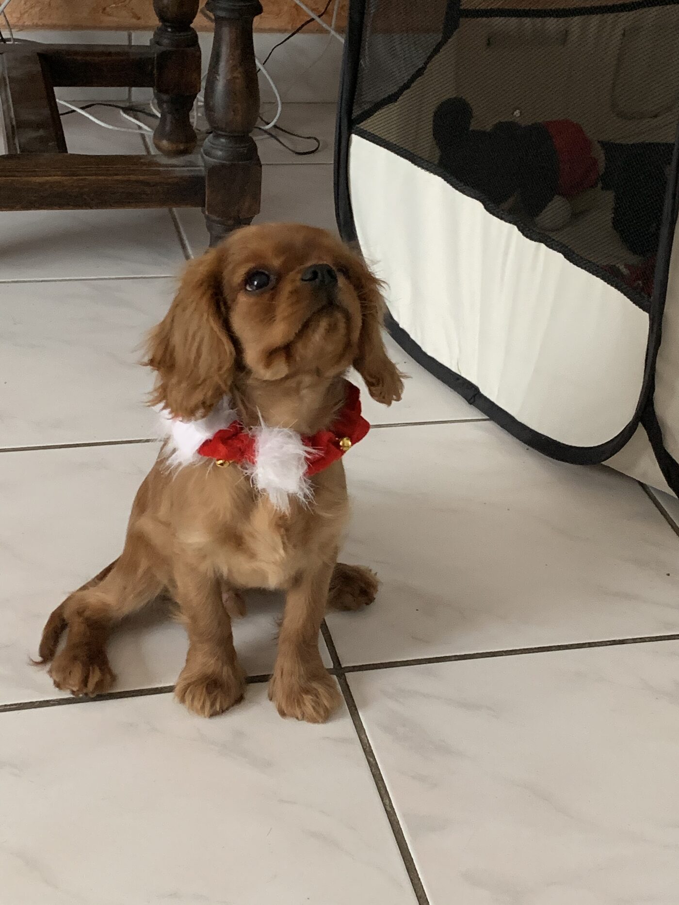 Rio