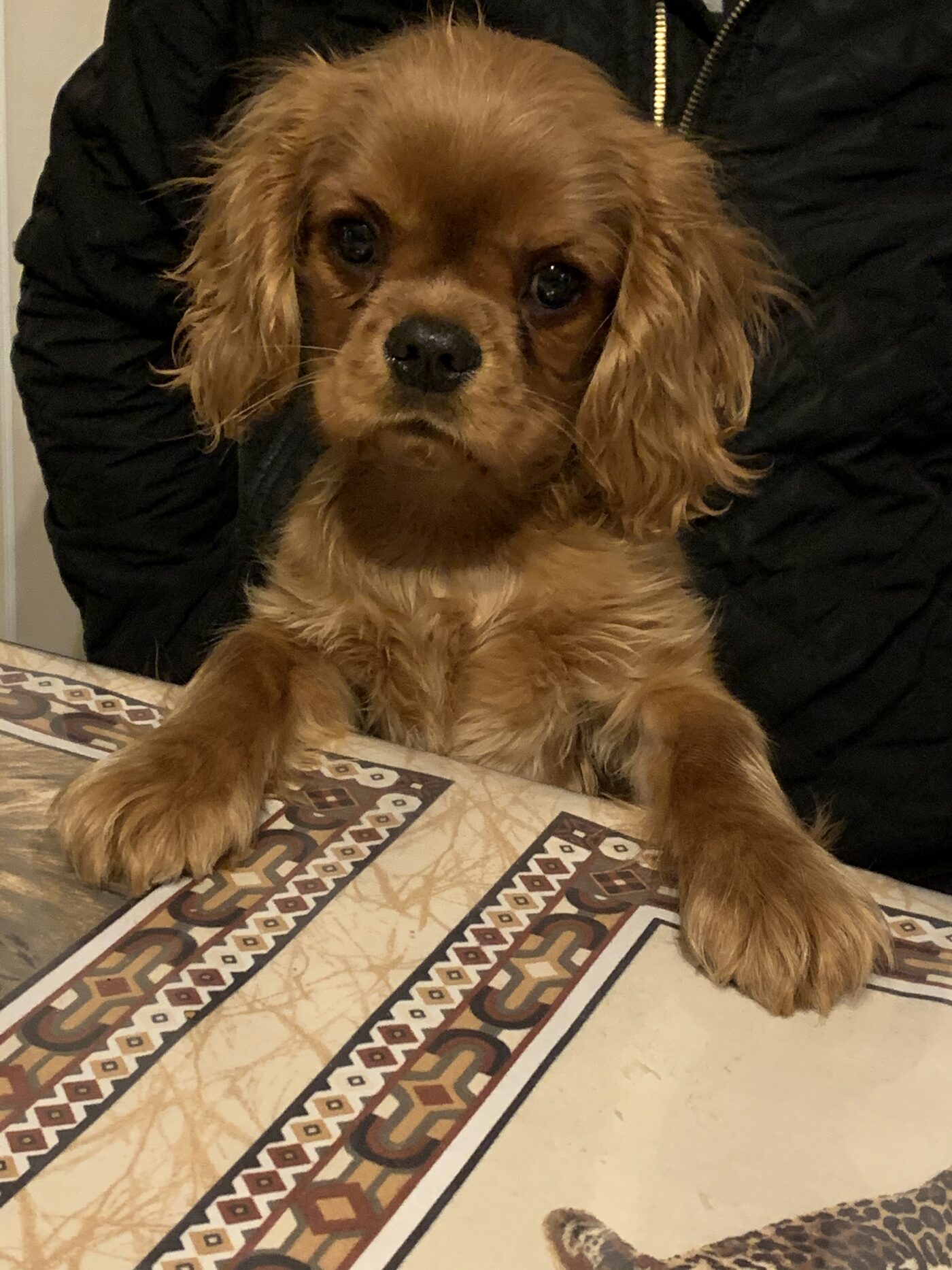 Rio